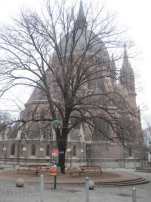 Descending fog in Vienna