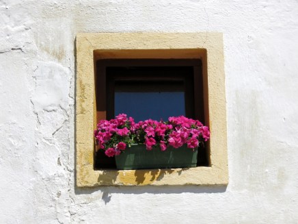Window