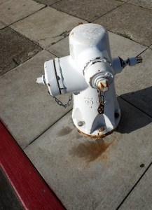 Hydrant