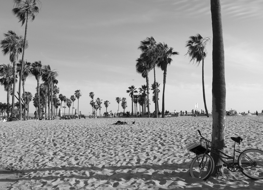 Venice Beach (4)