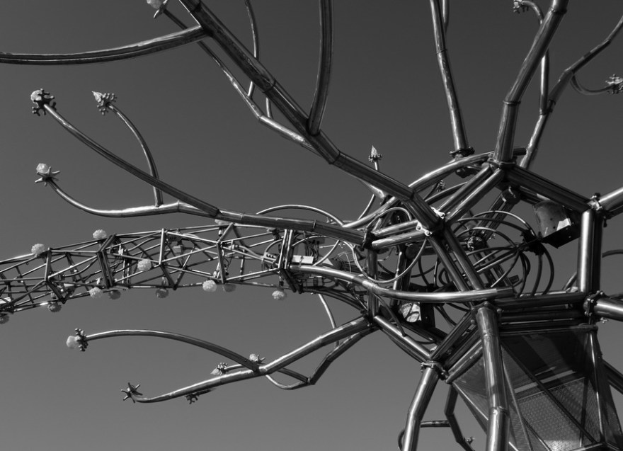 Flaming Lotus Girls Soma