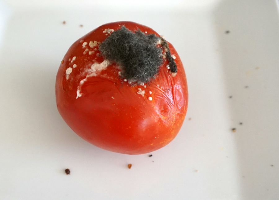 Tomatoe Arte Povera